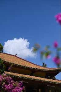 法式的粉紅浪漫的「小瑞士」｜越南·大叻市