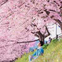 再過一個月🌸東京這5️⃣個地方將櫻花滿開！！
