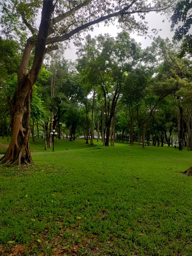 天門東湖公園