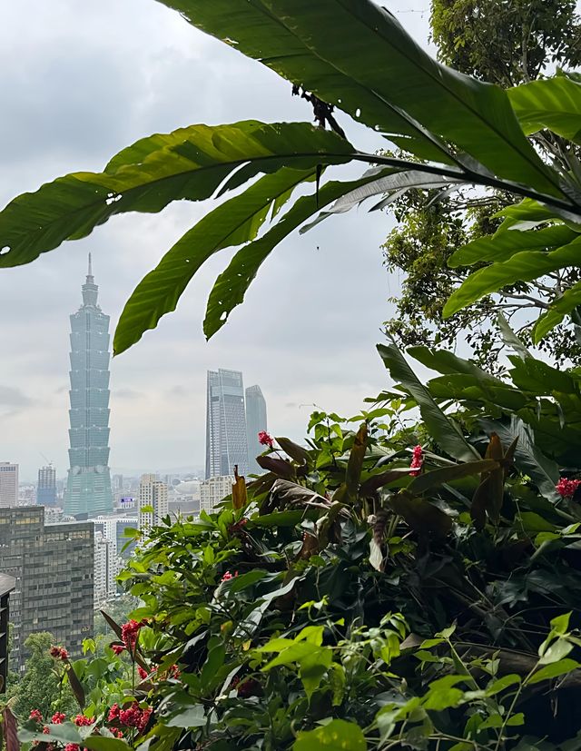 象山步道｜領略台北繁華的獨特視角