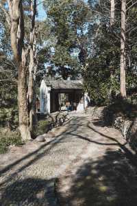 張愛玲留下足跡，多處國保的冷門古村