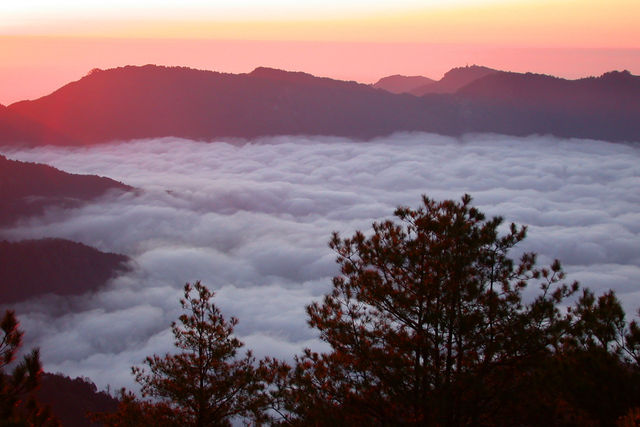 阿里山國家風景區遊玩攻略