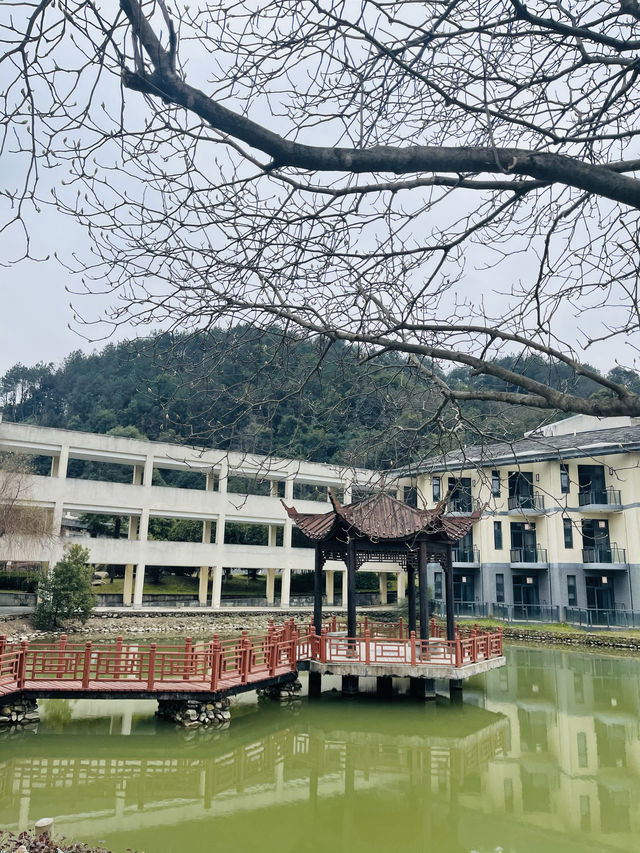 明月山天沐溫泉度假村遊玩指南