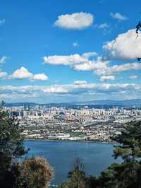 昆明不用花錢的暮光森林🟢一年可以來N次