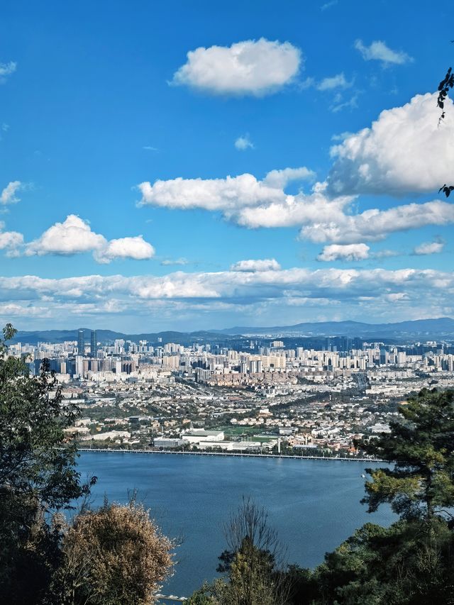 昆明不用花錢的暮光森林🟢一年可以來N次