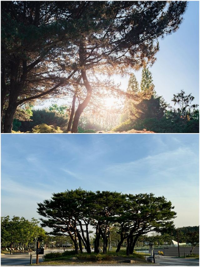 韓國論山市旅遊攻略