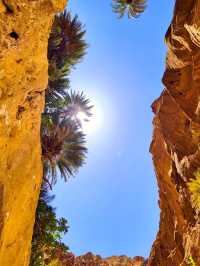 Wadi Ghuweir Oasis: A Hidden Gem in Jordan 🌿✨