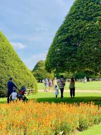 Hampton Court Palace  🌳