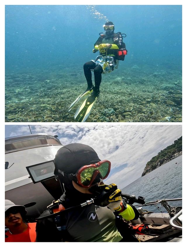 布吉島潛水全攻略！三天九潛，邂逅海洋奇遇。