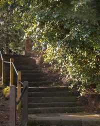 探索英國蘭卡斯特：威廉姆森公園的絕美風光 