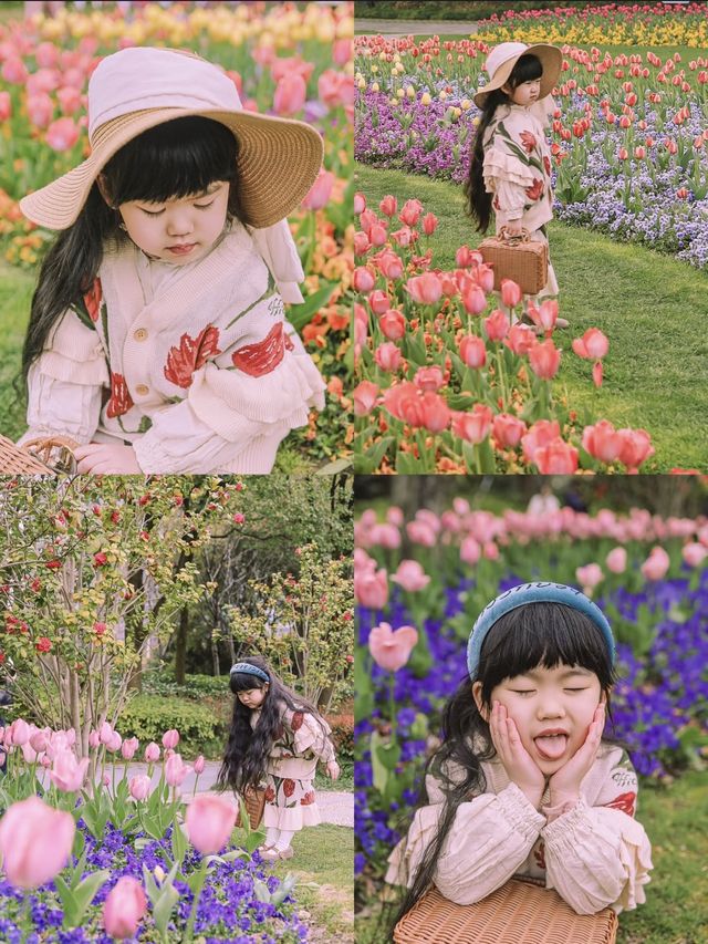 3月中旬不要錯過上海市區的這片鬱金香花海