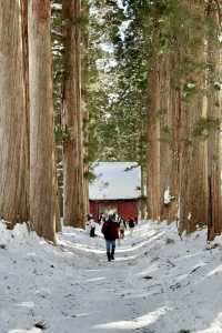 日本賞雪小眾目的地長野戶隱神社全攻略