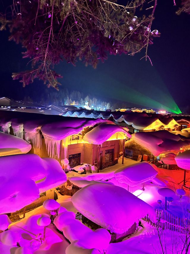 哈爾濱—雪鄉兩日遊 玩轉冰雪世界不踩坑
