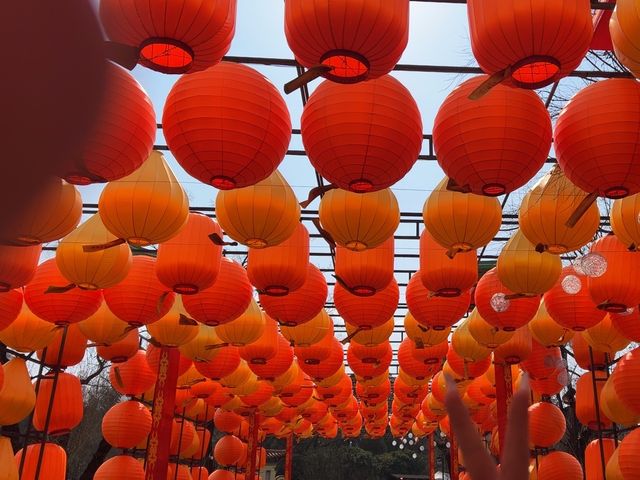 大觀樓餵海鷗