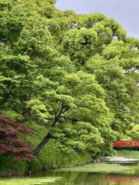悠然綠意：天王寺公園漫步時光