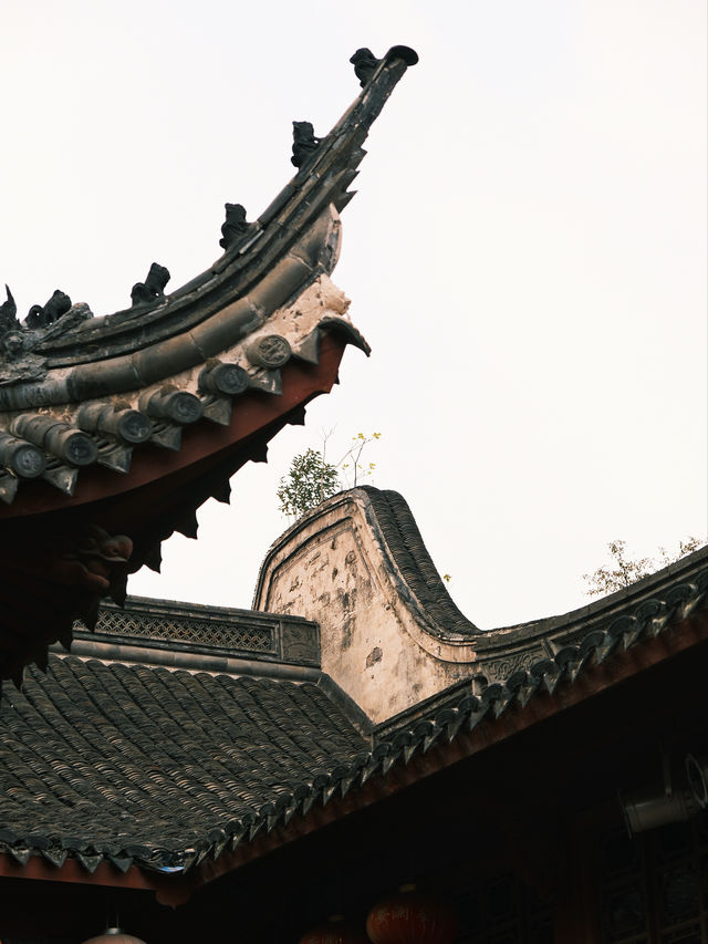 旅遊荒漠？不存在的！寧波，我玩了七天還不想走！