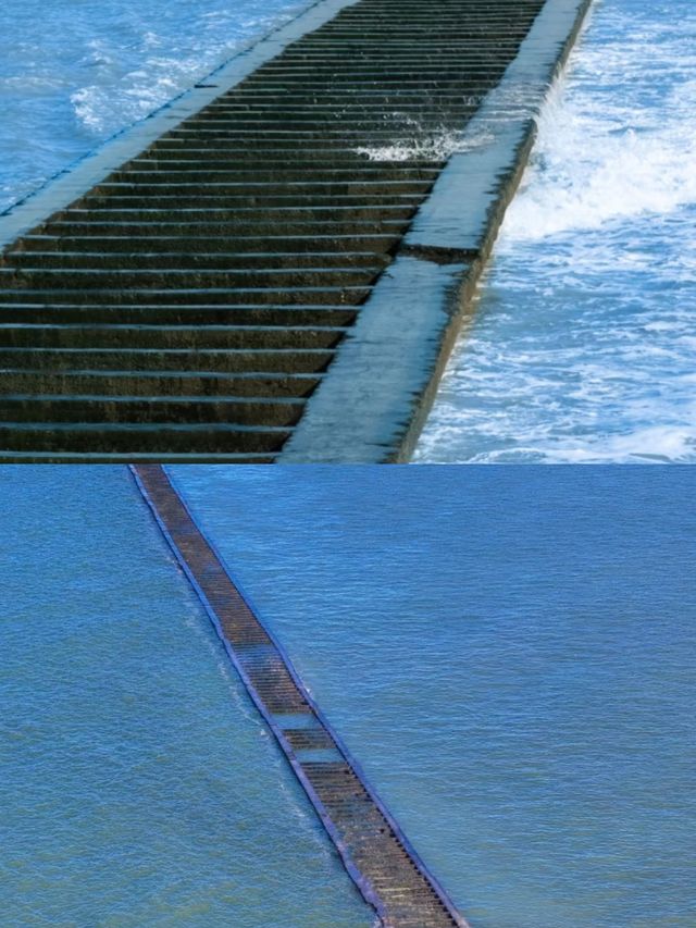 一次旅行，雙重體驗！