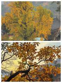 鞍山：鋼都風采，體驗自然魅力