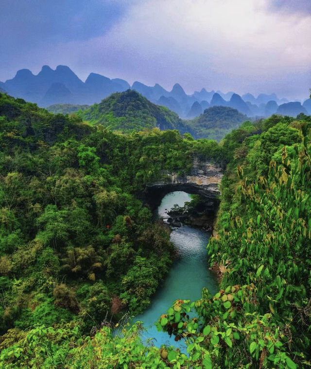 不用去阿勒泰了，已在廣西柳州找到平替了