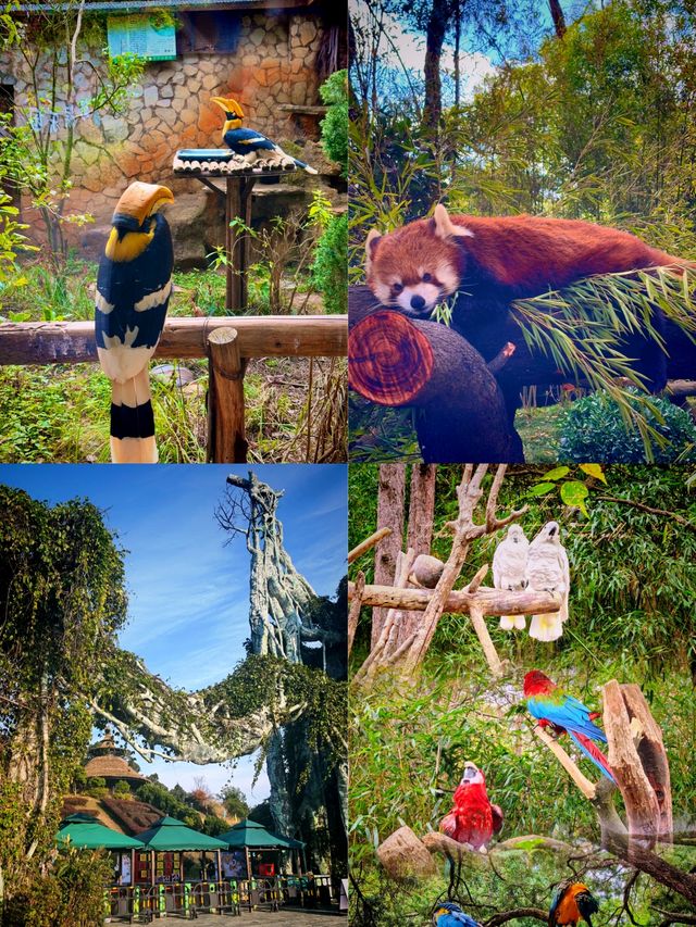 野生動物園邂逅生態精靈