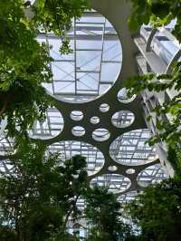 上海溫室花園遊玩攻略，都市中的綠野仙蹤