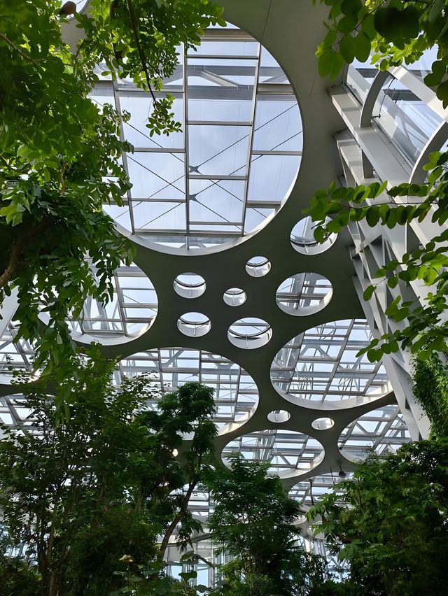 上海溫室花園遊玩攻略，都市中的綠野仙蹤