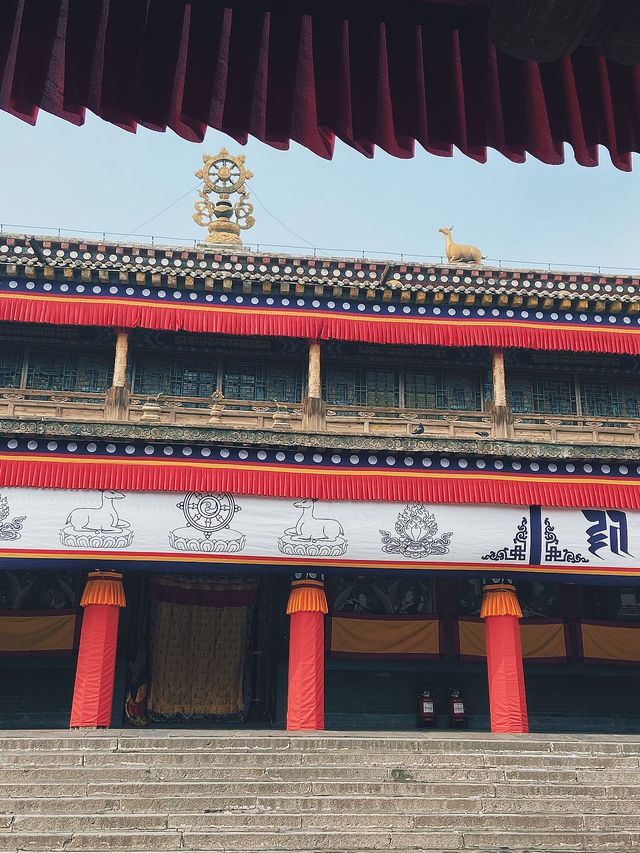 4天暢遊西寧等地超詳細攻略 不踩雷必看