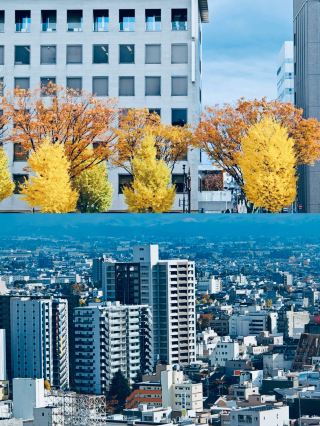 The scenery from manga has been brought to life.