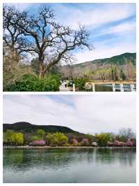 國家植物園，北京絕美賞桃花勝地