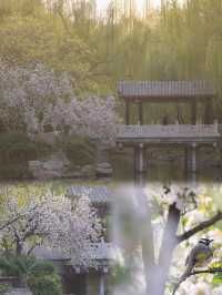 山東濟南丨3-4月淡季來真的很棒，人少景美