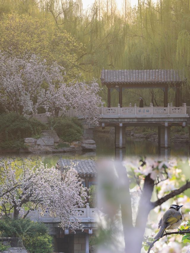 山東濟南丨3-4月淡季來真的很棒，人少景美