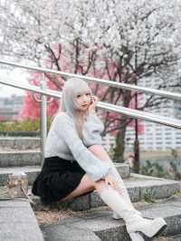 東京櫻花拍攝聖地大公開🌸人少出片超絕