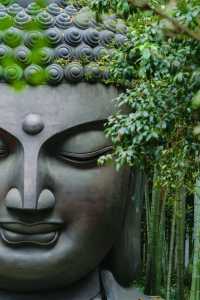 Discover the Most Relaxing City Walk Route Around West Lake!