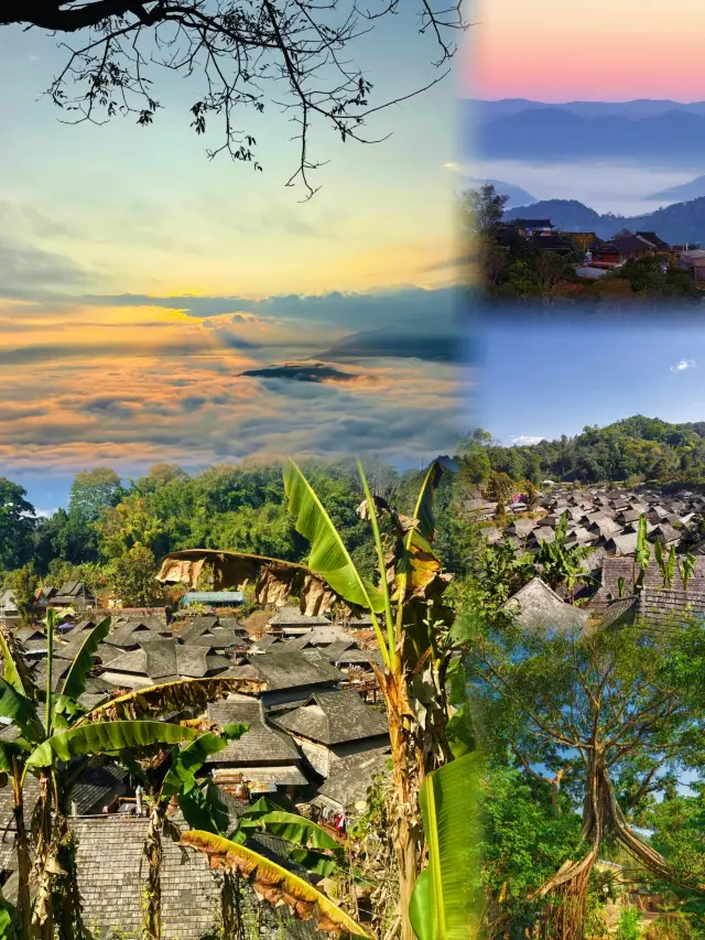 Go to Jingmai Mountain to drink tea, see the trees, and wait for the sunset in the ancient village.