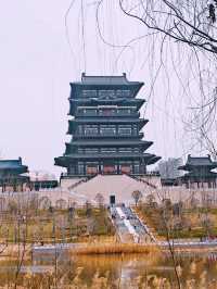 鄭州｜西流湖公園｜春日限定｜梅櫻共舞的浪漫奇遇