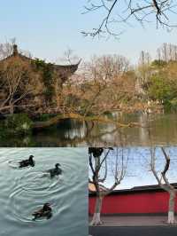 HangZhou｜杭州|||愛上這座城市帶給我的寧靜