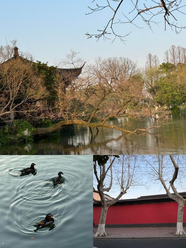 HangZhou｜杭州|||愛上這座城市帶給我的寧靜