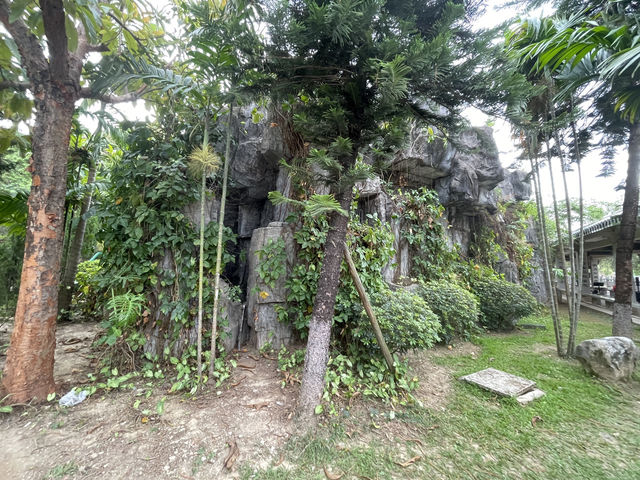 🏡☘️ 陽春名樹公園 · 偷得浮生半日閒