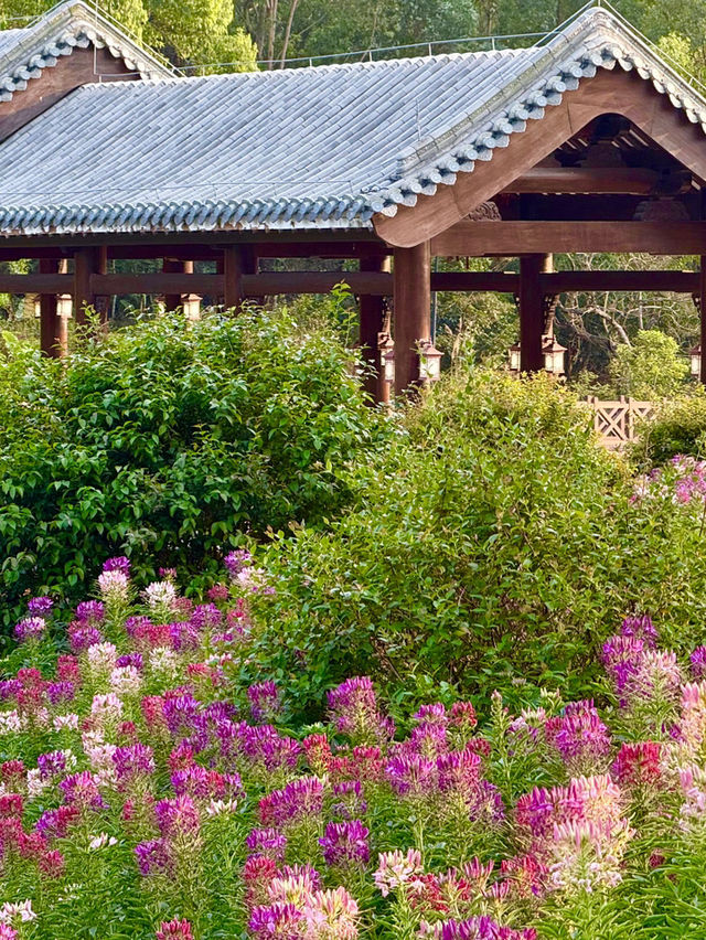 《碧水環翠 隱逸香山湖的當代桃源》  