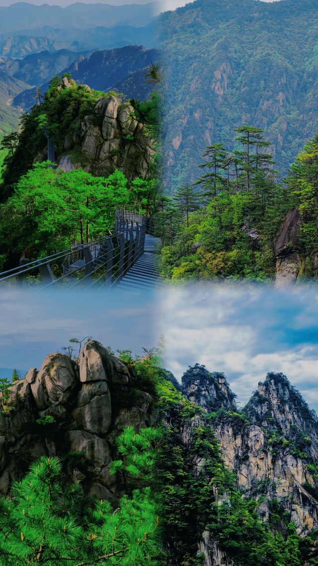 在大明山中尋找自然的韻律與力量。