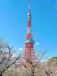 東京タワーと桜の魅力を楽しむ旅