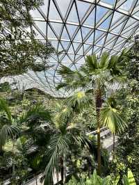 星空漫步，花園之夢：新加坡星空花園