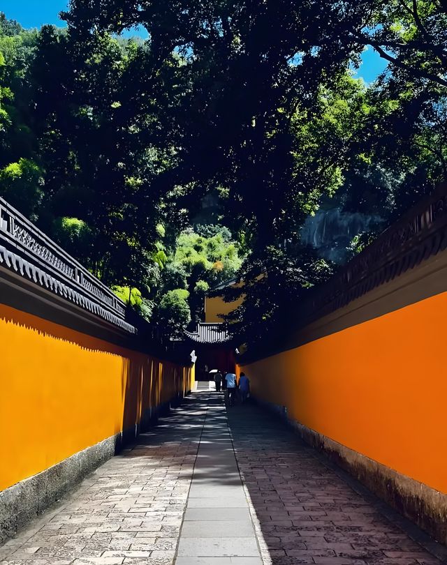 馬上週末了，這不得帶著家人去拜佛許願嗎？