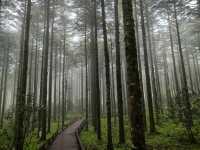 樂山·鹿兒坪｜冷門秘境徒步指南