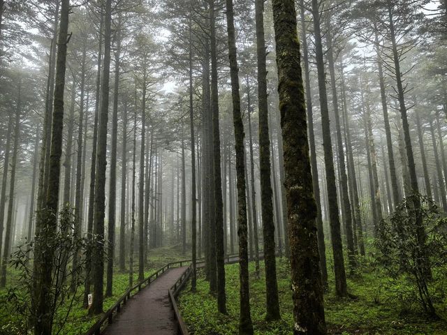 樂山·鹿兒坪｜冷門秘境徒步指南