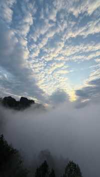 武夷山：丹霞秘境中的岩骨茶香與千年道韻