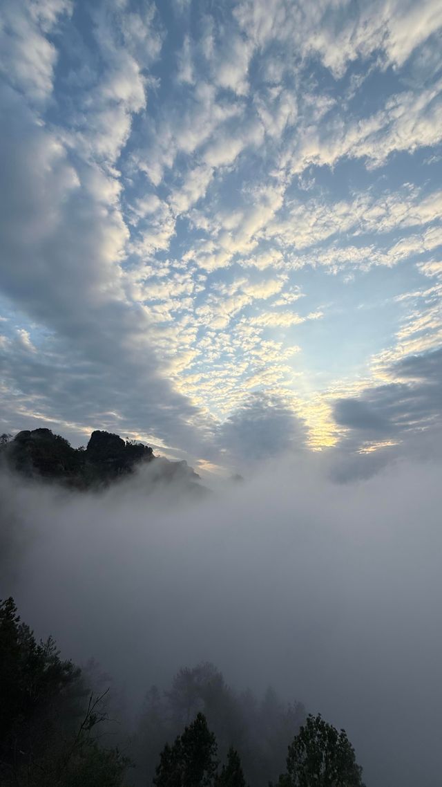 武夷山：丹霞秘境中的岩骨茶香與千年道韻