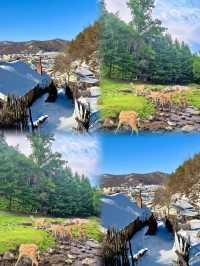 東北小眾玩法！5個秘境公開