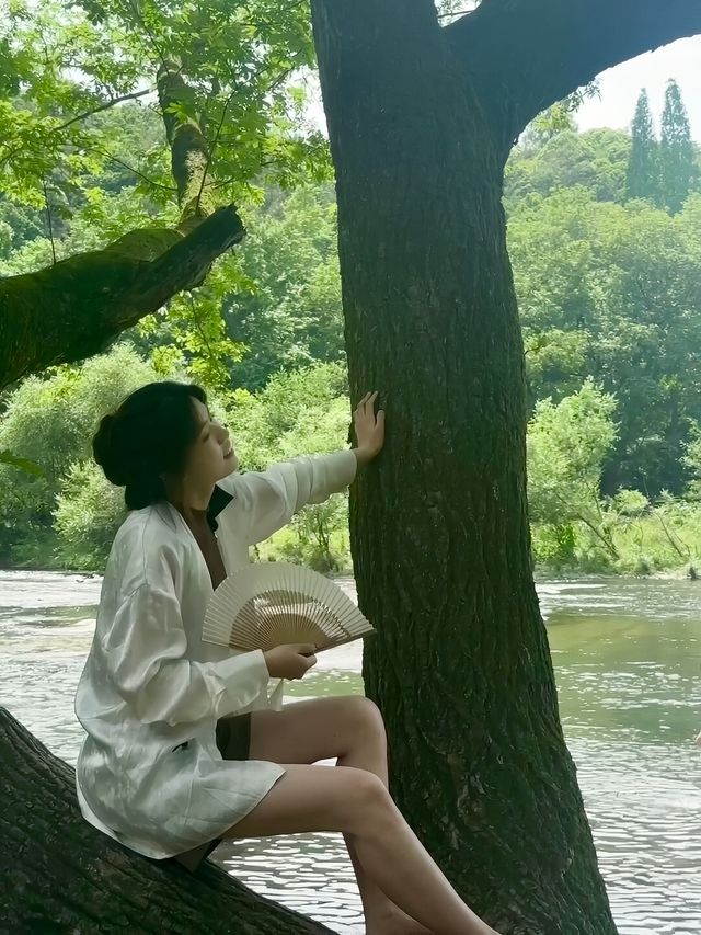 縉雲仙都｜彷彿掉進仙俠 將進酒 杯莫停！