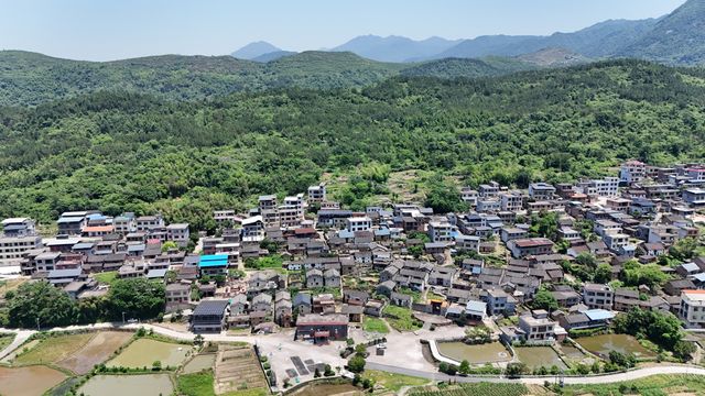 湖南宜章林家排古村